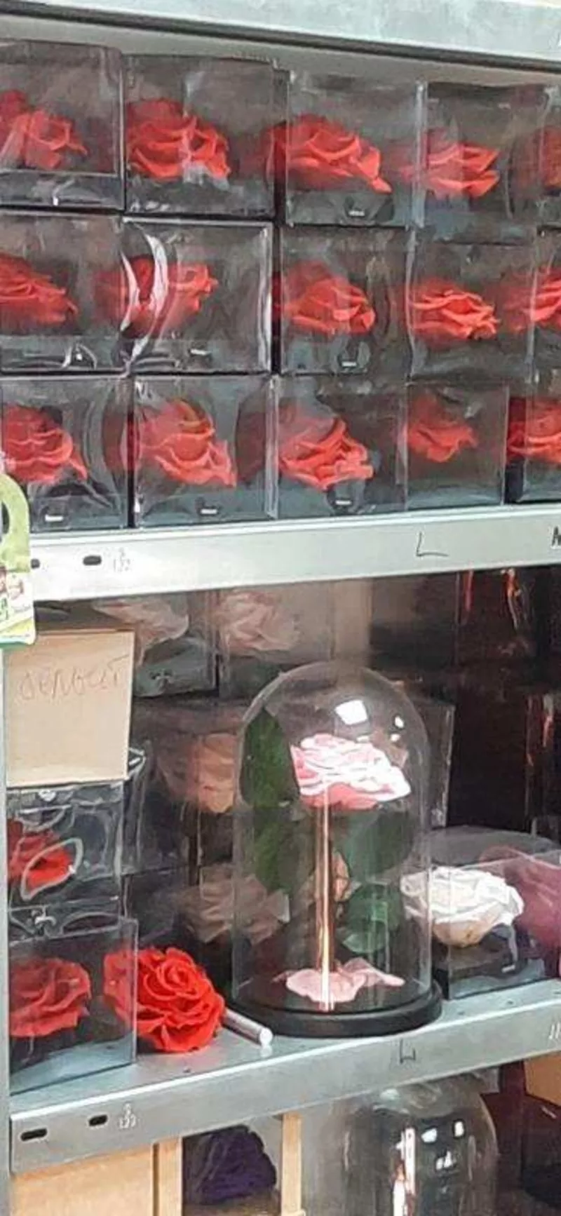 Продается роза в колбе оптом,  доставка по России 6