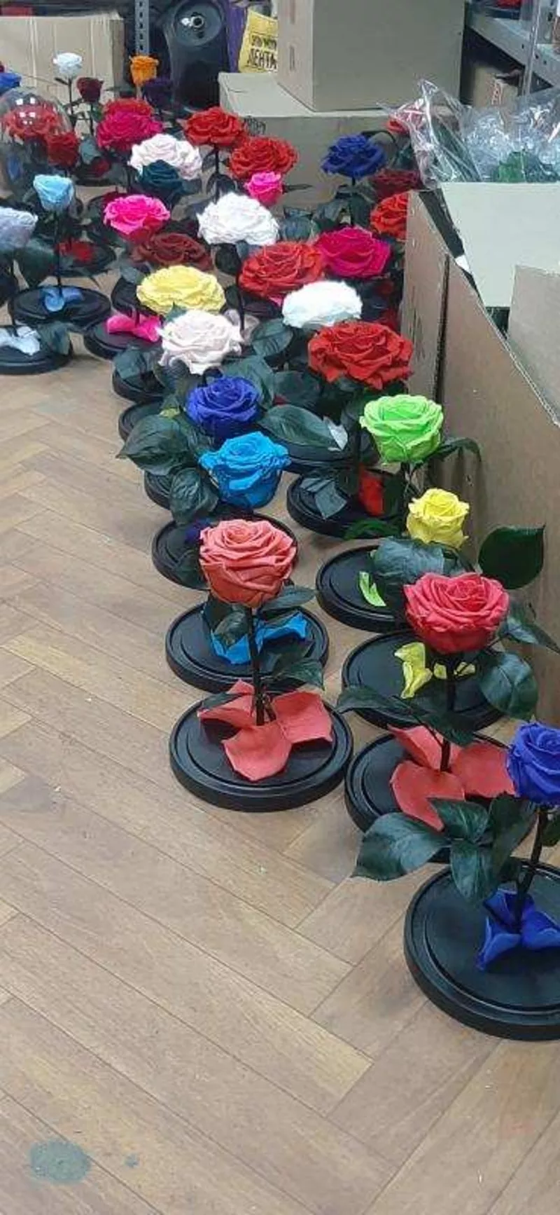 Продается роза в колбе оптом,  доставка по России 7