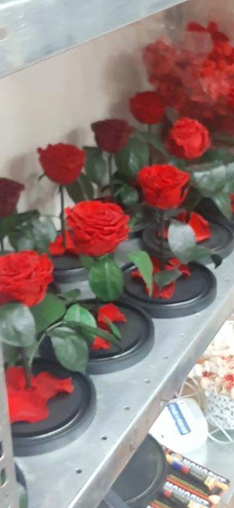 Продается роза в колбе оптом,  доставка по России 8